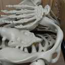 7.9ft/240cm Giant Skeleton Halloween Skeleton Life Size Skeleton Posable Skeleton Full Body Realistic Bones with Movable Joints for Halloween Outdoor Indoor Decorations