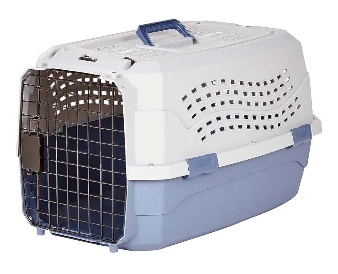 Amazon Basics 2-Door Top-Load Hard-Sided Dogs, Cats Pet Travel Carrier, Gray & Blue, 22.8"L x 15.0"W x 13.0"H