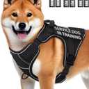 Service Dog Vest for Medium Dogs, Service Dog in Training Harness with Patches, Full Metal Buckles Adjustable Dog Vest for Training Walking