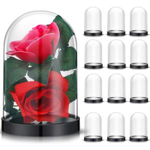 Zhengmy 12 Pcs Plastic Dome Display Case Cloche Bell Jar with Base Clear Decor for Collectibles Rose Office Home Tabletop CenterPc Decor, 5 x 3.3 Inch, Black