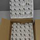 Abeja G40 Replacement Light Bulbs,Clear Globe Bulb fits E12 C7 Candelabra Screw Base Sockets, 1.5 Inch 5 watt Clear Glass Incandescent Bulbs for Indoor Outdoor Patio Decor, Warm White-50 Pack