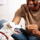 Milk-Bone Flavor Snacks Dog Treats Mini 36 Ounce