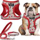 GAMUDA Small Dog Harness Collar and Leash Set, Step in No Chock No Pull Soft Mesh Adjustable Dog Vest Harnesses Plaid Reflective for Dogs Puppy Cats Kitten Rabbit (Red Flower, Large)