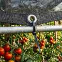 ColourTree 50% Black Shade Cloth, 16FT x 20FT Mesh Tarp, UV Resistant Netting with Upgrade Grommets for Plant Cover, Greenhouse, Chicken Coop, Barn, Kennel, Garden