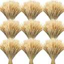 Geosar 600 Stems Dried Wheat Stalks for Decor Natural Wheat Grass Sheaves Bundle Farmhouse Artificial Flowers Arrangement for DIY Wedding Table Home Centerpieces Party Decorative (16 Inch)
