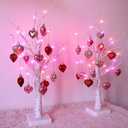 Valentines Day Lighted Birch Tree Decorations, 24 Inch Small Table Top Artificial LED Light Trees Decor with White Branches and Hanging Heart Shaped Ornaments, Timer USB & Battery Operated