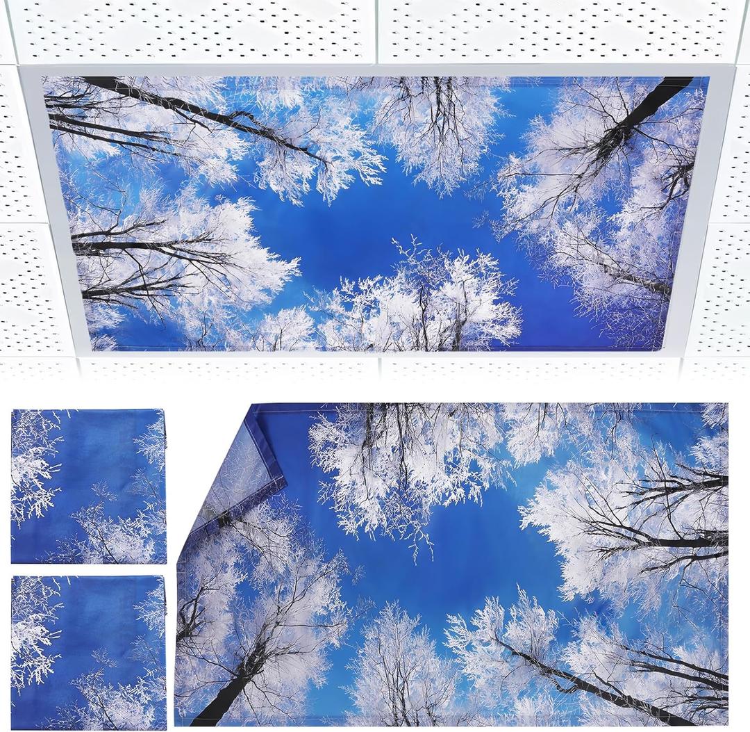 2pcs Fluorescent Light Covers - Light Covers for Ceiling Lights Classroom, Magnetic Light Filters for Office, Hospitals, Home 4 x 2 Feet (winter)