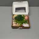 Ling's moment Fake Flowers Box, Faux Artificial Greenery Stems Foam Roses Anthurium Silk Lily Palm Fabic Flower for Centerpieces Bouquet Wedding Vase Floral Decorations, Sorbet Tropical, Mini Combo