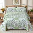 Green Patchwork Queen Quilt Floral Queen Size Quilt 3 Pieces Full Bedding Set Reversible Soft Lightweight Bedspread Coverlet for All Season, 90"x96" (1 Quilt, 2 Pillow Shams)