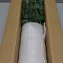 VIERENA 17.5" Artificial Eucalyptus Stems in Glass Vase with Faux Water,Fake Plant Eucalyptus Leaves White Seeds for Centerpiece Table Decorations Farmhouse Wedding Home Greenery Decor (Sage Green)