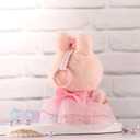 2 x Doll Clothes for Labubu 17cm Have a Seat & Exciting Macaron & Big into Energy Series Dolls, Adorable Chic Dress Set for 17cm Dolls Accessories (Pink Gauze Skirt + Hairband)
