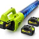 Leaf Blower Cordless, 21V Powerful Electric Leaf Blower with 2 * 4.0Ah Batteries & Fast Charger, 2-Speed Power Settings, Battery Powered Blowers for Lawn Care, Yard, Lawn, Patio, Dust, Blows Leaves (black)