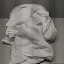 10-Pack White Tablecloths for Rectangle Tables, 60 x 102 Inches, Stain-Resistant Polyester Fabric for 6 Foot Tables - Washable Table Covers for Weddings, Banquets, Birthday, Parties, Events