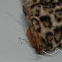 EMMTEEY Cheetah Pillow Covers 18X18 Faux Fur Throw-Pillow-Cover Set of 2 Leopard Print Couch Pillow Cases Decorative Square Throw Pillows for Home Living Room Dcor Bedroom Bed Sofa Cushion Cover