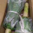 Artificial Plant Artificial Agave Plants,2PCS Faux Plants for Outdoors Artificial Plant Outdoor Large UV Resistant Fake Agave Planters for Indoor and Outdoor Decorating Outdoors Plants 22"