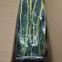 2 Set Large Fake Snake Plant 35 Inch Sansevieria Plant Artificial Snake Plants in Pots with Woven Basket Faux Mother In Law Tongue Plant - 30 Leaves Fake Laurentii for Indoor Outdoor Home Office Decor