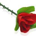 WSNMING 5 Pcs Folding Appearing Rose Flower Magic Tricks Toys Accessories Props for Stage Bar Party Home Shows Street