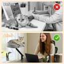 PAWZ Road Cat Desk Bed for Indoor Cats, Cat Bed for Desk Supports Up to 50 lbs, 360 Rotation & Adjustable, Nest Desktop Attachment Cats Hammock for Table, Gray