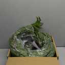 WBHome 2 PCS 9FT Real Touch Norfolk Pine Christmas Garland, Winter Greenery Garland for Christmas, Holiday Seasonal Outdoor/Indoor Home Decor