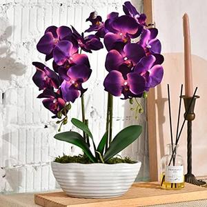 YSZL Large Artificial Potted Orchid Plant, Silk Flower Arrangement with Ceramics Vase, Dark Purple