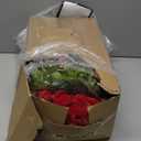 Dingion 18 Pcs Mini Christmas Kitchen Cabinet Wreath Small Christmas Wreath Decorations Norfolk Pine Artificial Berries Snowy Pine Garland with Red Ribbon for Xmas Table Centerpiece Front Door Decor