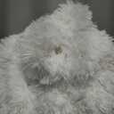 JONIYEAR Extra 2.8" Long Hair Fluffy Faux Fur Throw Blanket 50" x 60", Luxury Soft Decorative Fuzzy Furry Blankets for Couch, Cozy Plush Shaggy Blankets for Sofa Bed,Cute Lovely Blanket for Pet, White