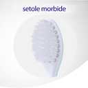 meridol Toothbrush Gum Protection Soft Pack of 2 - Manual Toothbrush for Gentle Cleaning of Teeth on The Gum Line