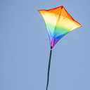 in The Breeze 30-inch Graphic Diamond Kites