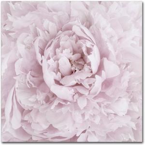 Pink Peony Flower by Cora Niele, 24x24-Inch Canvas Wall Art