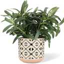 Ceramic Planter 4 Inch Plant Pots Indoor Outdoor Succulent Plant Pot Flower Pots Mid-Century Planter Ceramic Pot (Rhombus)