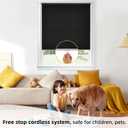 ChrisDowa Cordless Free-Stop 100% Blackout Blinds for Windows, Roller Windows Shades with Thermal Insulated, UV Protection Fabric for Living Room, Office and Home.Black,36" W X 72" H