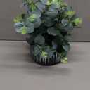Artificial Plants Potted Real Looking Small Faux Plant with Rustic Black Cement Planter for Kitchen Office Desk Bookshelf Decor (Eucalyptus Plant)
