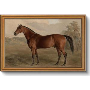 Gold Framed Wall Art Vintage Horse Canvas Art Farmhouse Animals Picture Wall Decor Antique Prints Rustic Paintings Country Artwork for Bedroom Bathroom Living Room 16x24 Inch