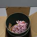 Rose Crystal Tree of Life with LED Light – Handcrafted Gemstone Bonsai on Quartz Base & Acacia Wood Stand – Spiritual Home & Office Décor, Feng Shui, Thoughtful Gift for Women