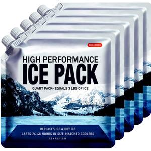 Reusable Ice Packs for Coolers Long Lasting Gel Freezer Packs for Cooler Bag Backpacks, Lunch Box, Cooler Bag, Keeps Food Cold Fresh (Set of 5) (9.8"x9.8")