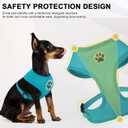 BINGPET Small Dog Harness, No Pull Dog Harness Small Sized Dogs, Soft Light Breathable Mesh Puppy Vest with Safety Buckle-Adjustable Step in Pet Harnesses for Easy Walking, Running, Training