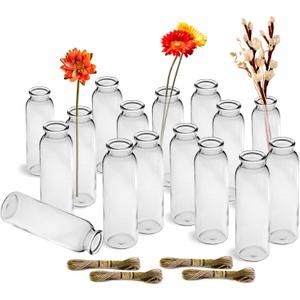 Bud Vases Set of 16,Small Glass Vase for Flowers,Bud Vases in Bulk,Clear Glass Vases for Centerpieces,Mini Vase Set for Flowers Wedding Decorations (Clear 16)