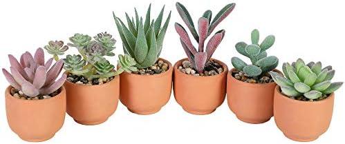 Nubry Mini Fake Plants in Terrine Pots Artificial Small Succulents Potted Faux Assorted Lifelike Plants for Home Office Desk Decor, Set of 6 (Orange Terracotta Pots)