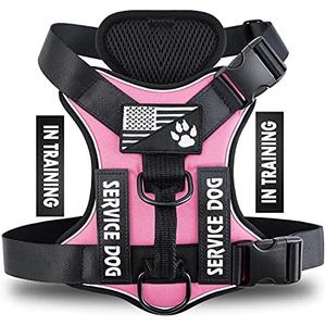 Demigreat Service Dog Harness, Reflective Dog Vest Harness with 5 PCS Patches, Adjustable Soft Oxford Pet Harness, Inner Layer Mesh, Easy to Control for Dogs, S Demigreat Service Dog Harness, Reflective Dog Vest Harness with 5 PCS Patches, Adjustable Soft Oxford Pet Harness, Inner Layer Mesh, Easy to Control for Dogs, S