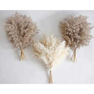 30 PCS Boho Decor, Fluffy Pompas Grass, Natural Dry Pampas Grass Small, Short Pampass Bulk for Boho Room, Coffee Table Decor (17 inch )