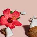 SheaMoisture Curl Enhancing Smoothie Hair Cream Coconut and Hibiscus for Thick, Curly Hair Sulfate Free and Paraben Free Curl Cream 20 oz (20 Ounce (Pack of 1))