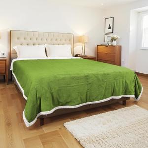 Electric Heated Blanket Full Size 72x84 Inch - Super Soft Flannel, 10 Heat Settings, 1-12H Auto Shut Off, Machine Washable, Easy Controller, Perfect for Winter Warmth - Light Grass Green