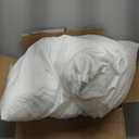 Euro Pillow Inserts 30x30-Feather and Down Fill - Cotton Fabric