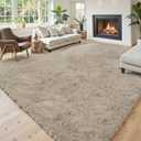 Area Rugs 9x12 Living Room, Shaggy Carpet Soft Plush Furry Bedside Rug Large Area Rugs for Bedroom Kids Girls Boys Home Decor Anti Slip(9 x 12, Beige)