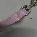 Didog Small Dog Harness and Leash Set, No Pull Adjustable Soft Padded Dog Harness Vest for XS Small and Medium Sized Dogs (Purple, M) (M: Chest 19-20")