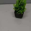 Der Rose 6 Pack Artificial Plants Small Potted Plants for Home, Office, Farm, Bathroom, Home Decor