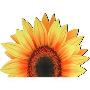 Amylove Sunflower Shape Bathroom Rug Non Slip Bath Mat Doormat Decorative Sunflower Rug Water Absorbent Cute Entrance Welcome Mat for Outdoor Indoor Kitchen Bath Shower Room, 27.6 Inch
