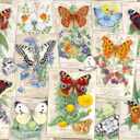 Wonder Forge Butterfly Splendor 1000 Piece Jigsaw Puzzle for Adults | Unique, Perfectly-Fitting Pieces | Fun, Vibrant Imagery | 