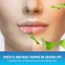 Mentholatum Natural Ice Original Medicated Lip Balm, Hydrating Lip Care for Dry, Chapped Lips, Moisturizing Formula with SPF 15 Helps Prevent Sunburn, Protection for Smooth, Soft Lips (Pack of 12)