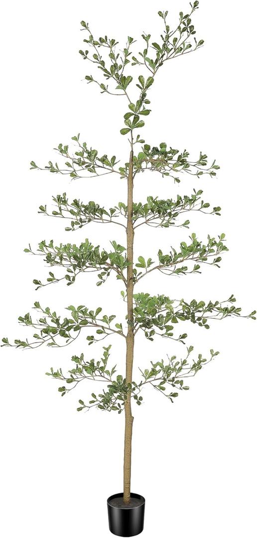 Black Olive Tree Artificial- 6ft Faux Black Olive Tree with Natural Trunk and Realistic Leaves - Artificial Shady Lady Tree for Modern Home Office House Living Room Decor